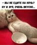 Хорошие новости: легкий перекус на ночь может помочь избавиться от бессонницы