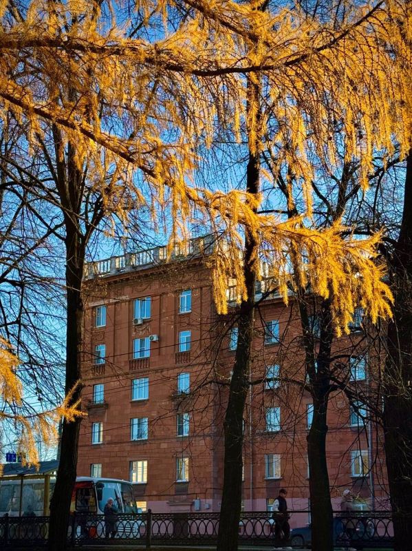 Владислав Пинаев: Доброе утро, друзья! Удачного дня!