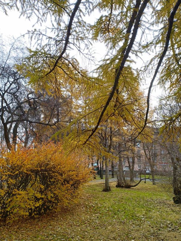 Доброе утро! Пусть всё сложится