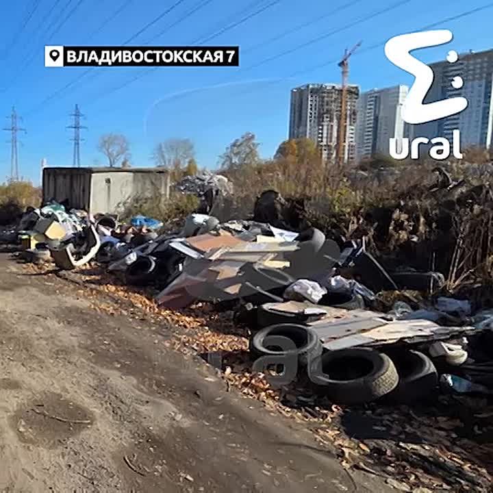 Миллионы бюджетных рублей на уборку свалок в Екатеринбурге ушли в никуда