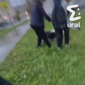 Битва поколений за самокат произошла в Екатеринбурге