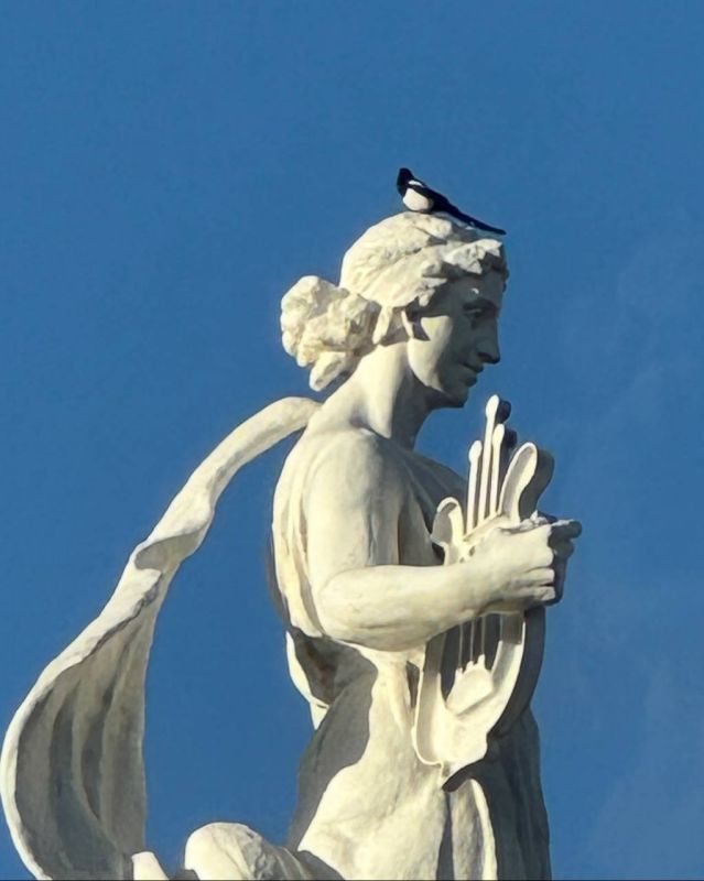 Владислав Пинаев: Доброе утро, друзья!. #ТагилЛюбимый