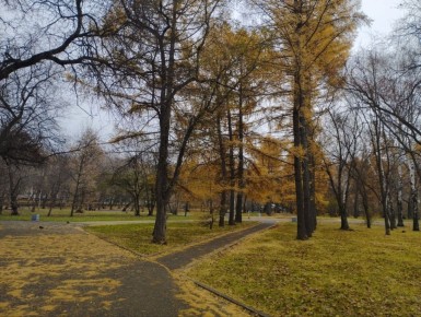 Пусть день для вас будет успешным! #нижнийтагил