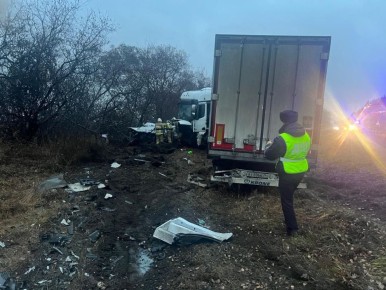 Госавтоинспекция сообщает о временном ограничении движения на 75-м километре федеральной трассы Екатеринбург – Шадринск – Курган в сторону Екатеринбурга в связи с массовым ДТП