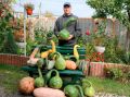 Тыквенные рекорды: житель Липецкой области удивляет редкими сортами и гигантами