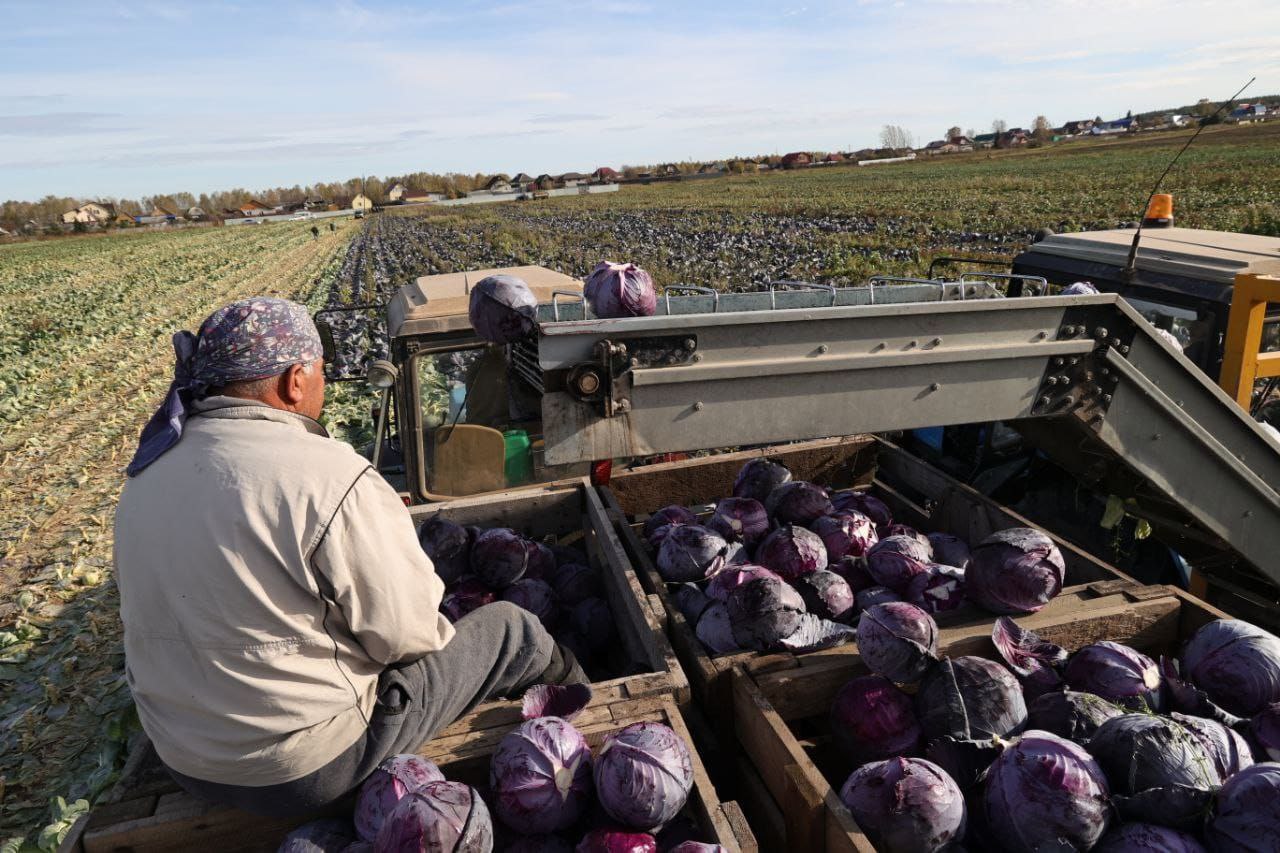 Денис Паслер поручил активизировать работу по вводу сельхозземель в оборот Денис Паслер поручил активизировать работу по вводу сельхозземель в оборот