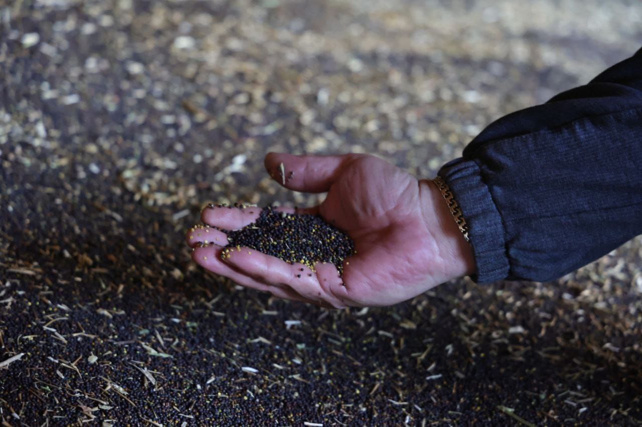 Денис Паслер поручил активизировать работу по вводу сельхозземель в оборот Денис Паслер поручил активизировать работу по вводу сельхозземель в оборот