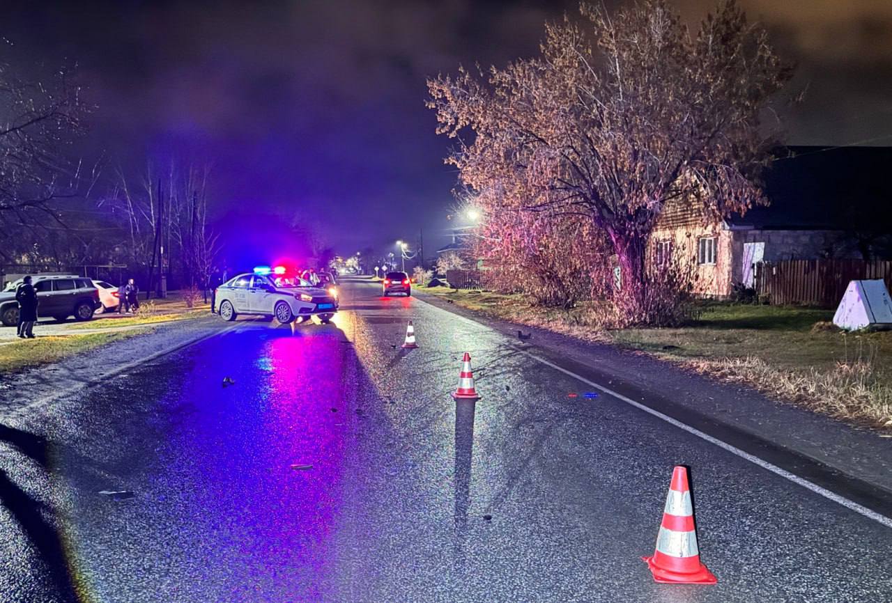 Пешеход погиб в поселке Патруши Пешеход погиб в поселке Патруши