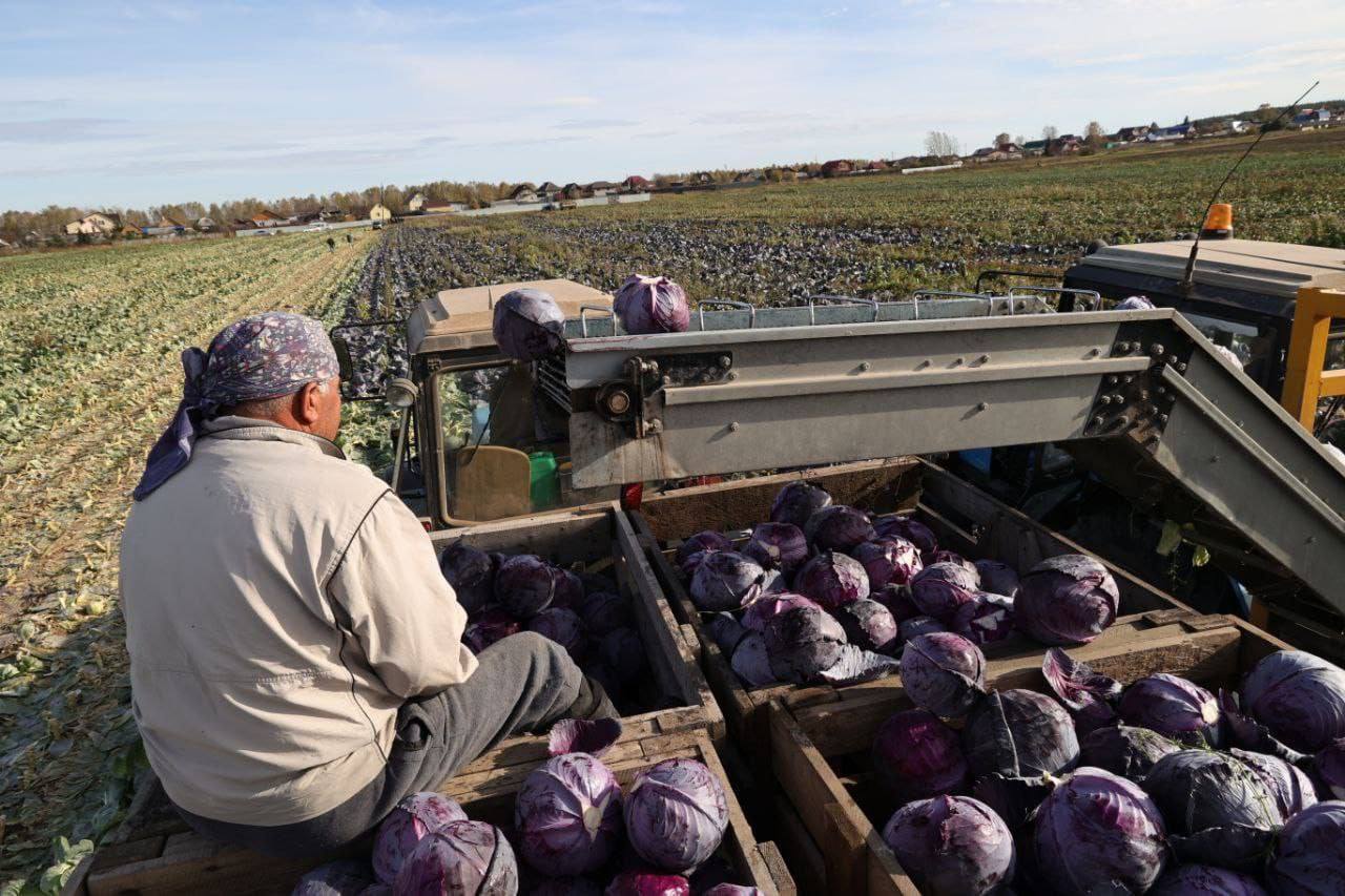 Навести порядок с сельхозземлями региона поручил губернатор Денис Паслер на заседании провительства Свердловской области Навести порядок с сельхозземлями региона поручил губернатор Денис Паслер на заседании провительства Свердловской области