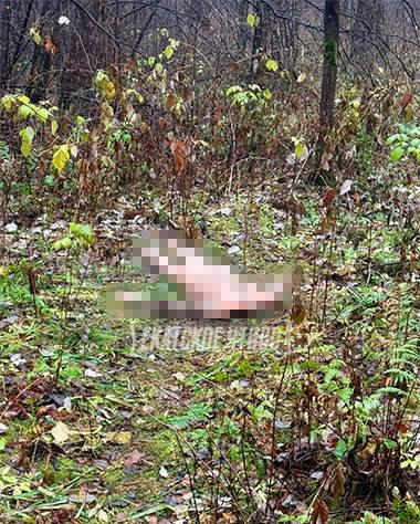 В Екатеринбурге раскрыли убийство женщины, чье обнаженное тело нашли лесопарке Юго-Западного микрорайона