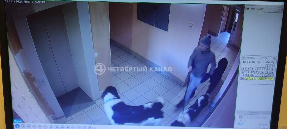 "Собаки зассали весь подъезд": подпольный питомник устроили жители Ленинского района "Собаки зассали весь подъезд": подпольный питомник устроили жители Ленинского района