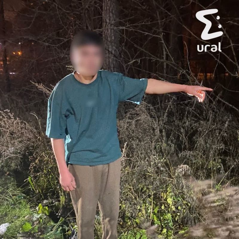 Обезглавленную женщину, которую нашли в юго-западном парке Екатеринбурга, убил её 21-летний сын