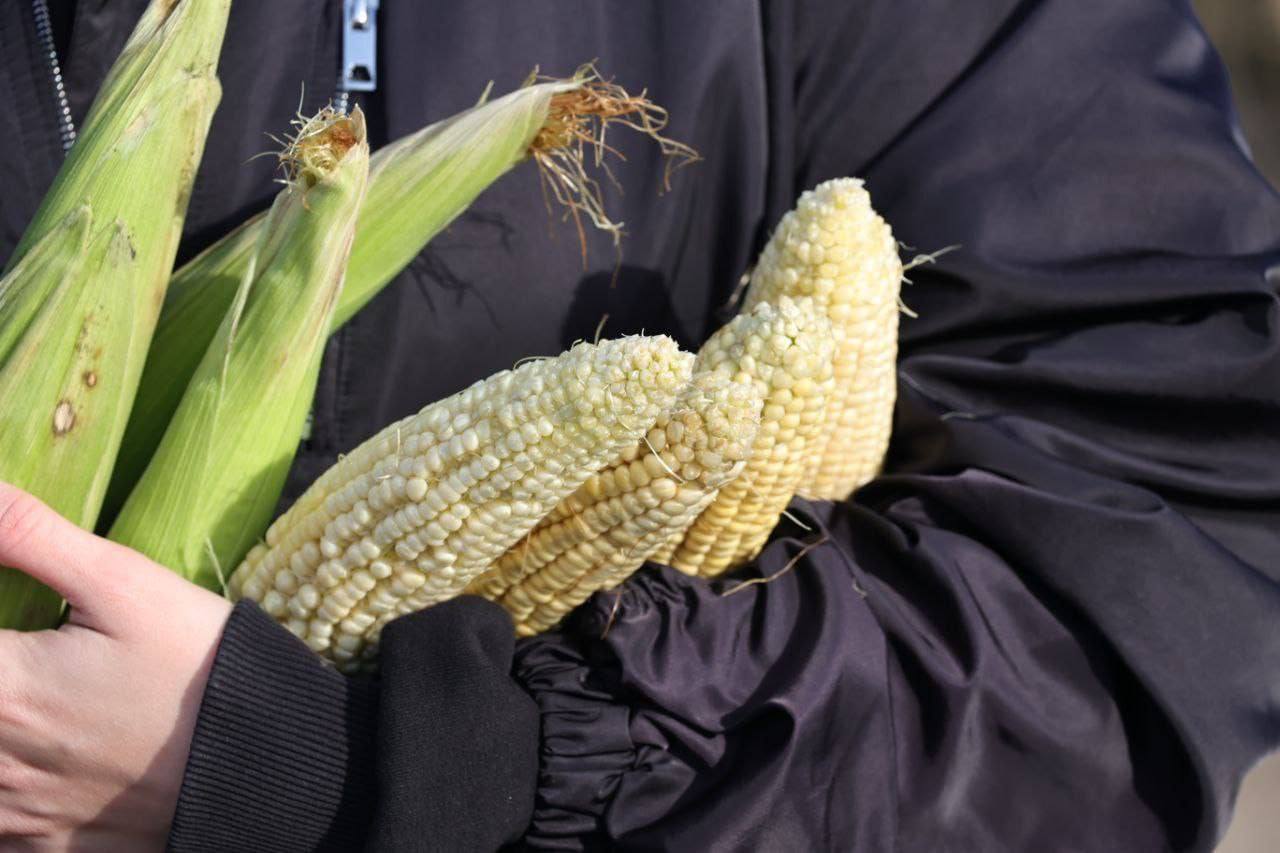 Навести порядок с сельхозземлями региона поручил губернатор Денис Паслер на заседании провительства Свердловской области Навести порядок с сельхозземлями региона поручил губернатор Денис Паслер на заседании провительства Свердловской области