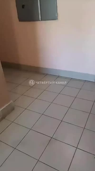 "Собаки зассали весь подъезд": подпольный питомник устроили жители Ленинского района