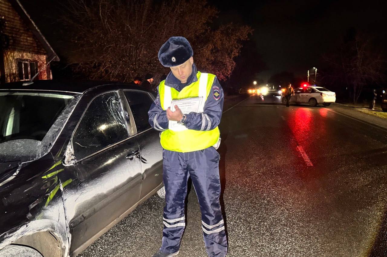 Пешеход погиб в поселке Патруши Пешеход погиб в поселке Патруши