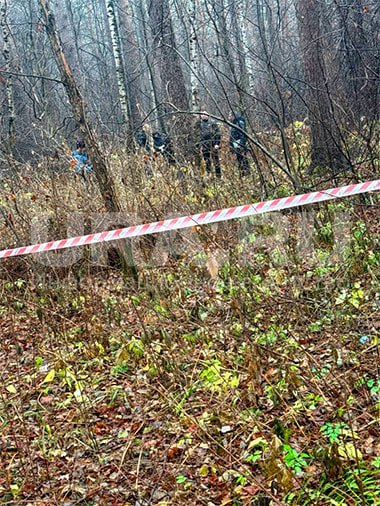 Голову от тела в лесопарке Екатеринбурга нашли: ее отрезал сын женщины