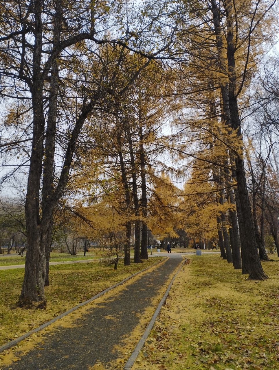 Всем счастливого дня, друзья! #нижнийтагил