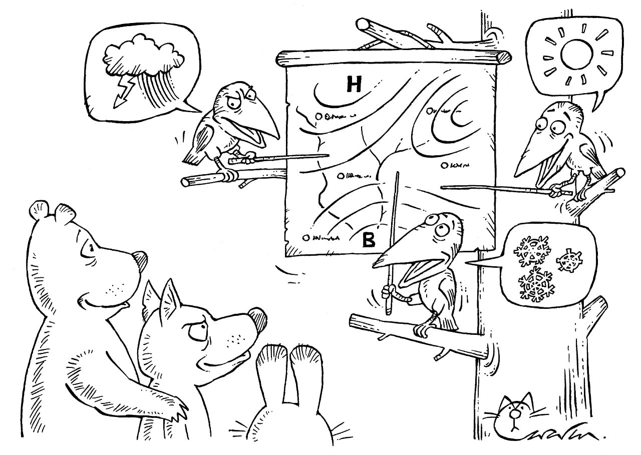 Наступил ноябрь — надо готовить свой сад к зиме