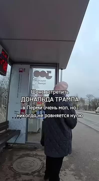В Перми встретили Дональда Трампа в женском обличии