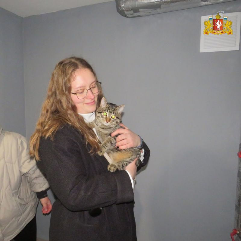 В новый дом — конечно, с котом!