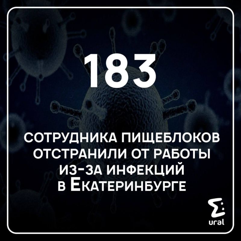 Ещё одна грустная цифра. Все эти люди готовили еду в школах и детских садах