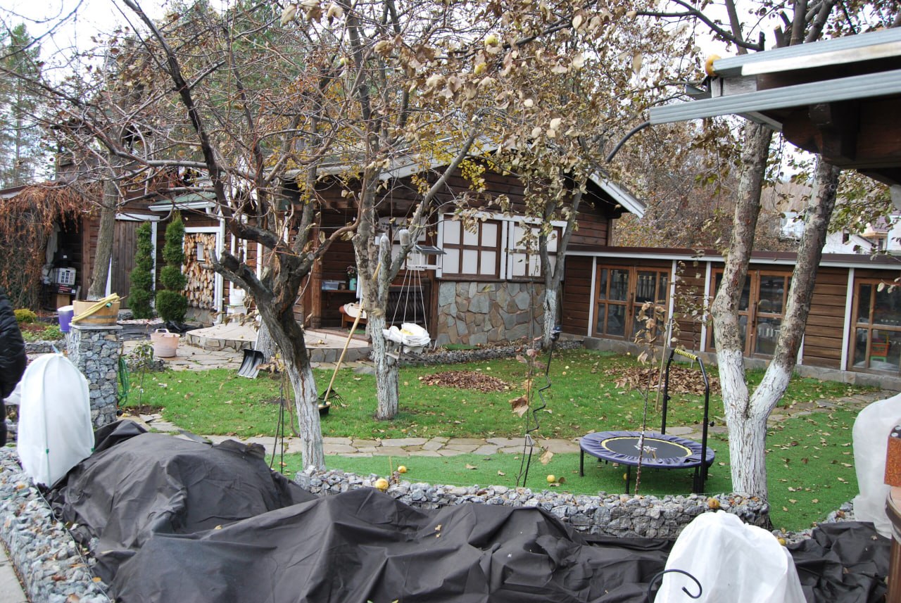 Наступил ноябрь — надо готовить свой сад к зиме Наступил ноябрь — надо готовить свой сад к зиме