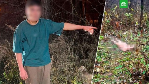 21-летнего жителя Екатеринбурга, отрубившего голову своей матери и выбросившего ее тело в лесу, арестовали до 30 декабря