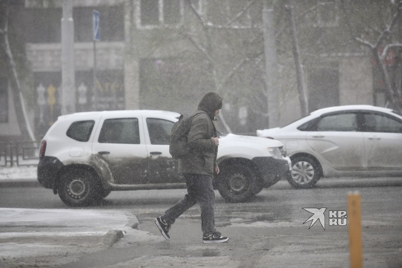 Что там с погодкой?. Решили посмотреть, ждать ли в ближайшие дни в Екатеринбурге продолжения снегопадов