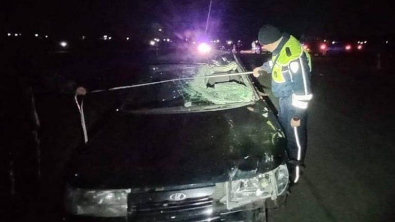 Страшная трагедия в Ирбитском районе: водитель сбил троих подростков и скрылся