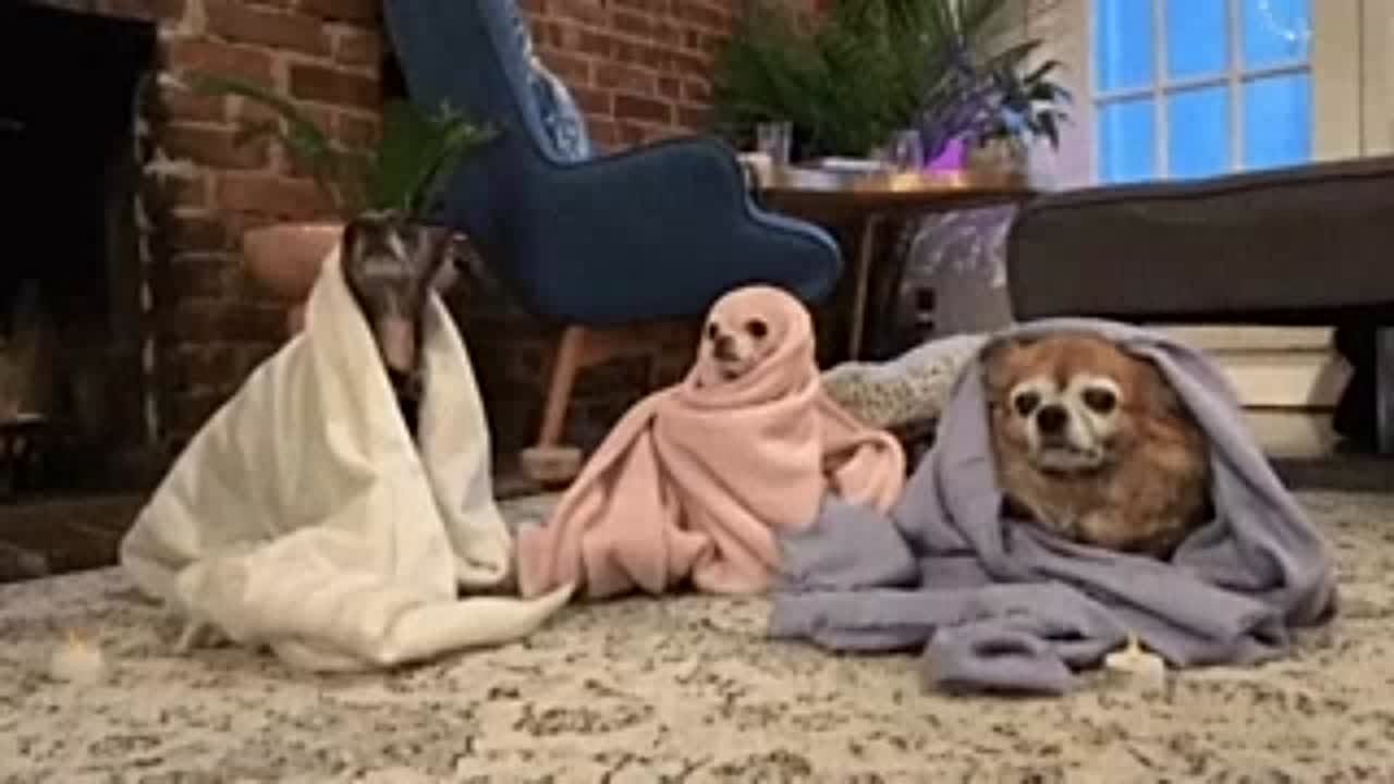 В Свердловской области похолодает до -15 градусов