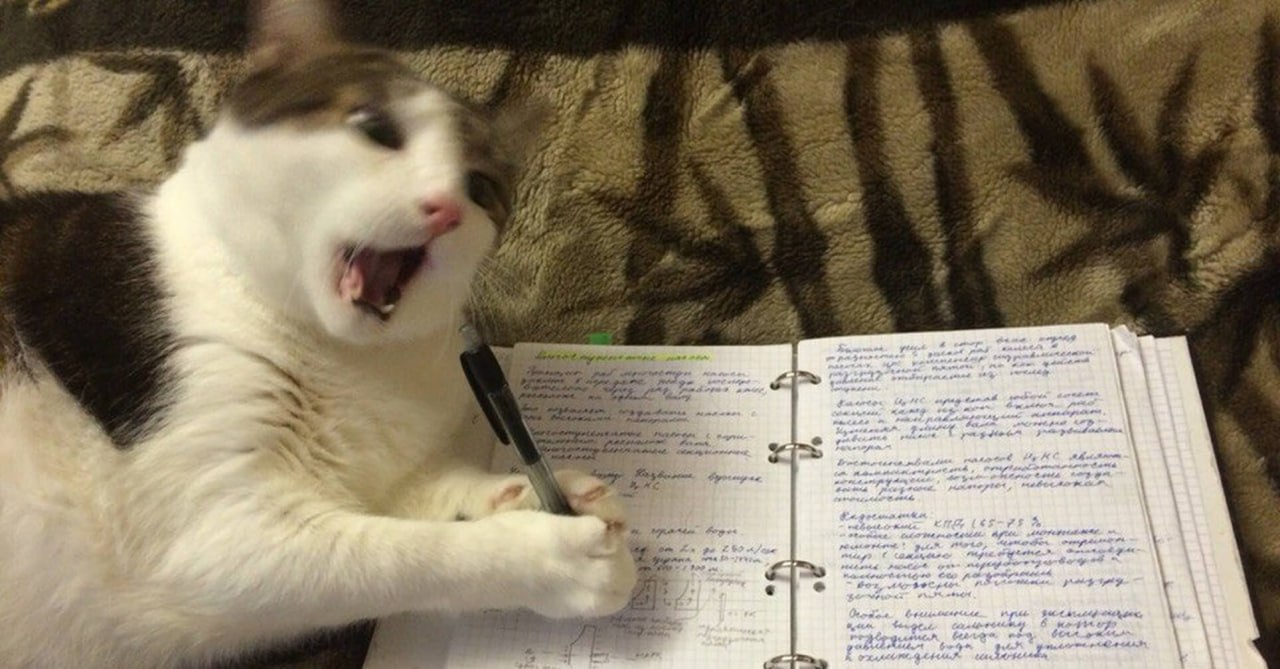 Летние каникулы предлагают сократить на месяц