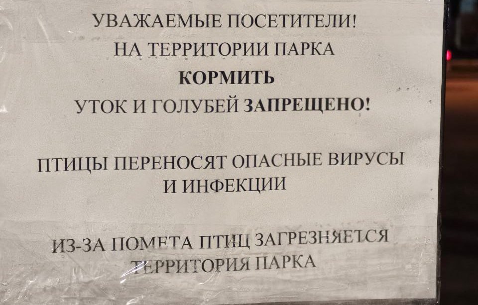 В екатеринбургском дендропарке запретили кормить птиц и проводить дневные экскурсии