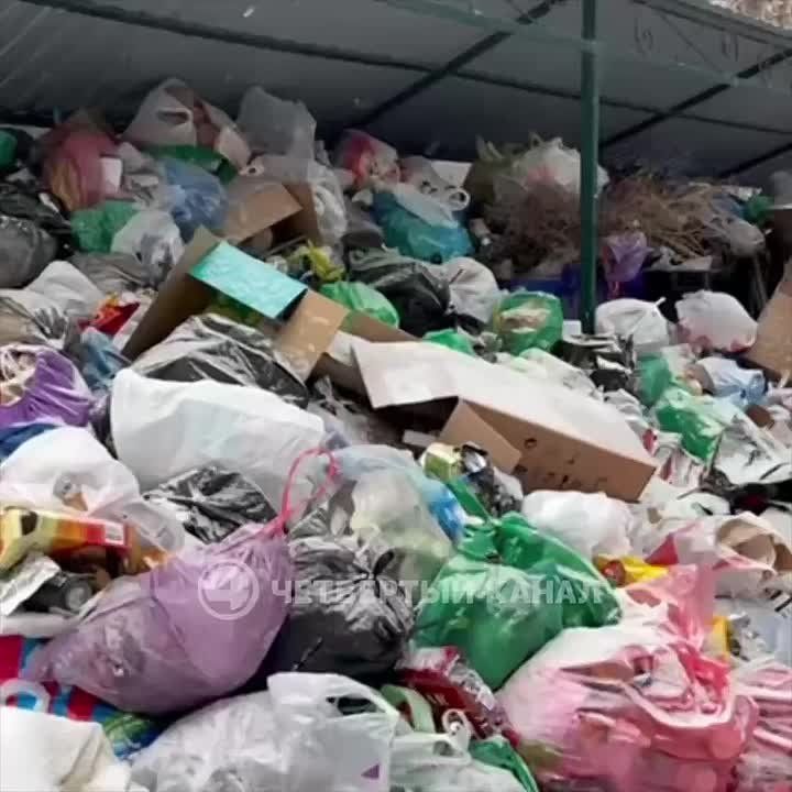 Двор превратился в свалку: у жилого дома уже неделю не вывозят мусор