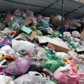 Двор превратился в свалку: у жилого дома уже неделю не вывозят мусор