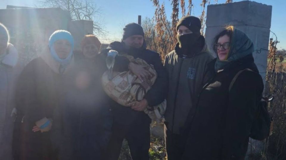 Спасение в Байнах: лебедя вывезли в питомник