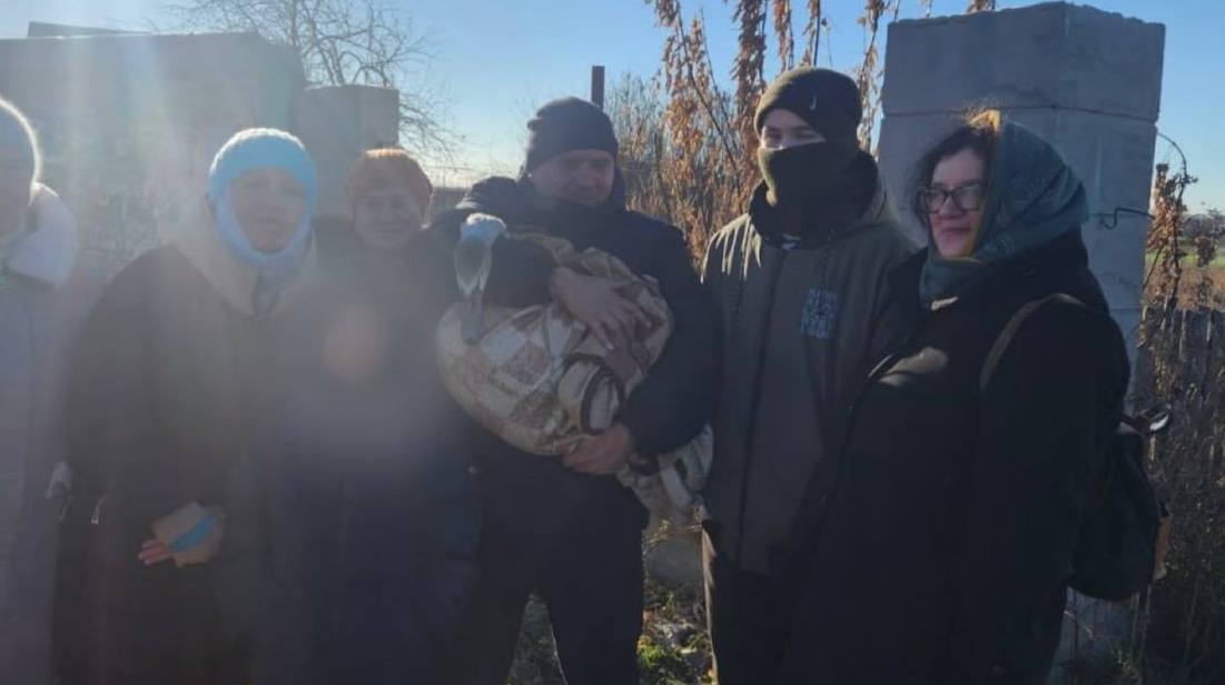 Спасение в Байнах: лебедя вывезли в питомник