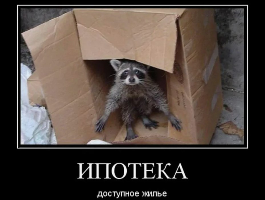 Екатеринбуржцы массово переезжают в новостройки, а спрос на «однушки» бьет рекорды