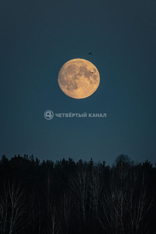 Выглядываем в окно и наблюдаем Суперлуние!