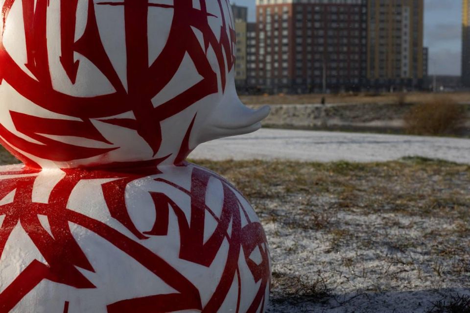 В Преображенском парке поселилась техно-уточка В Преображенском парке поселилась техно-уточка