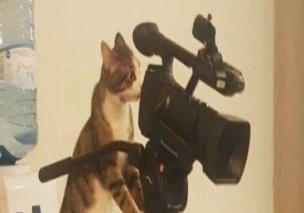 Более 50 фильмов покажут на Неделе уральского кино в Свердловской области