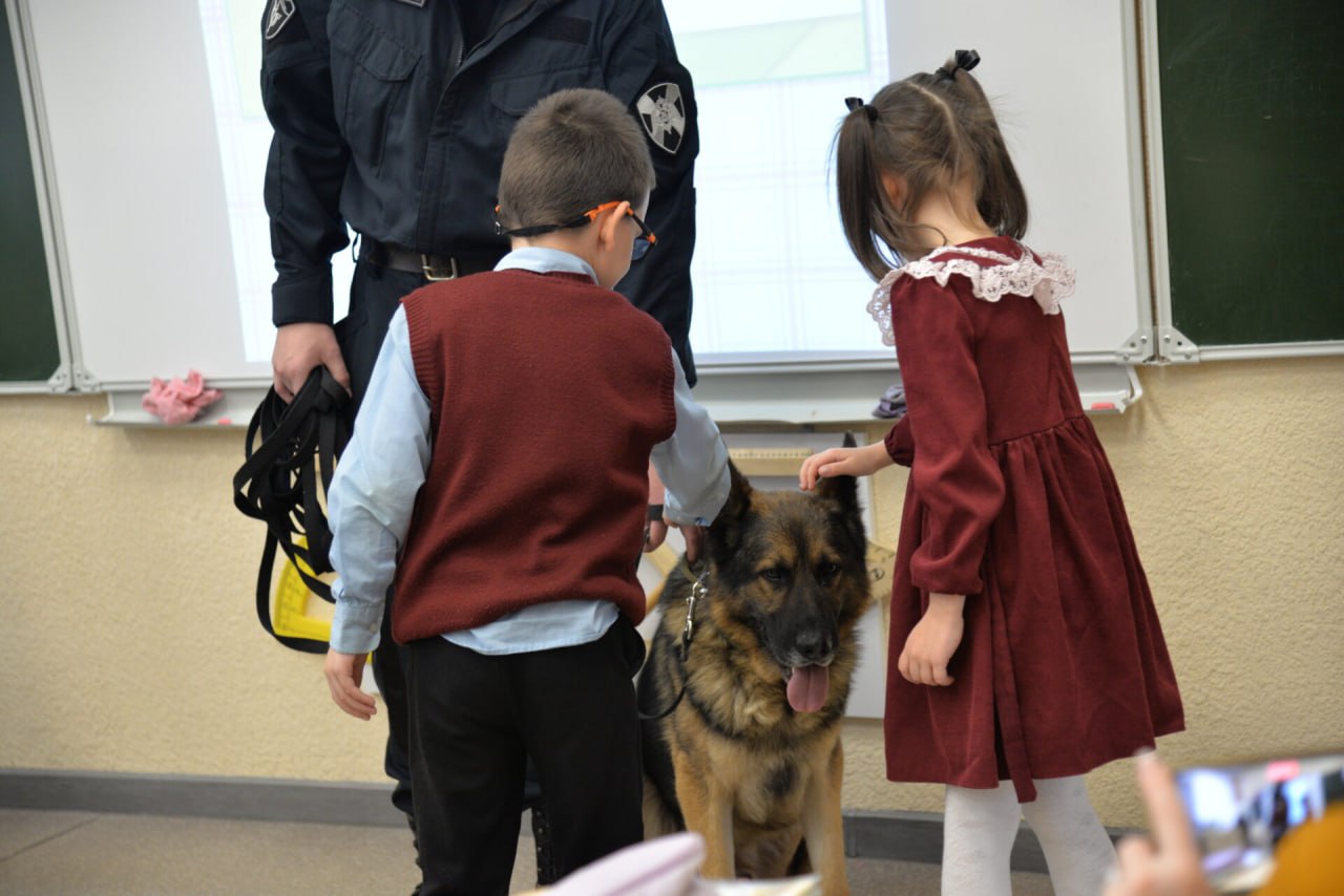 Кинологи Росгвардии рассказали учащимся школы в Екатеринбурге о своей профессии Кинологи Росгвардии рассказали учащимся школы в Екатеринбурге о своей профессии