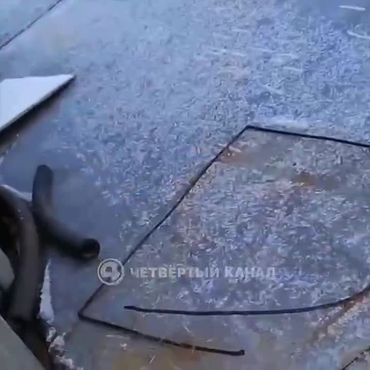 Затягивал лески вокруг шей и ранил лапы гвоздями: живодёр издевался над бездомными кошками на Уралмаше