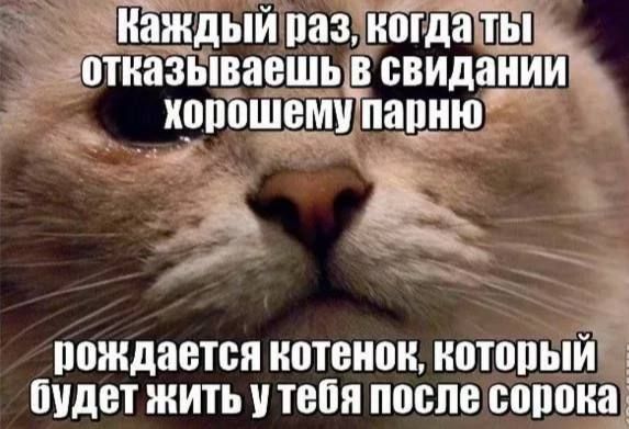 Сегодня отмечается день независимых, гордых и одиноких женщин