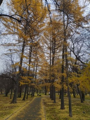 Удачной пятницы, друзья! #нижнийтагил