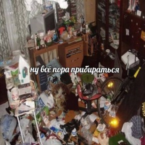 Сегодня — День вечно живого хаоса!