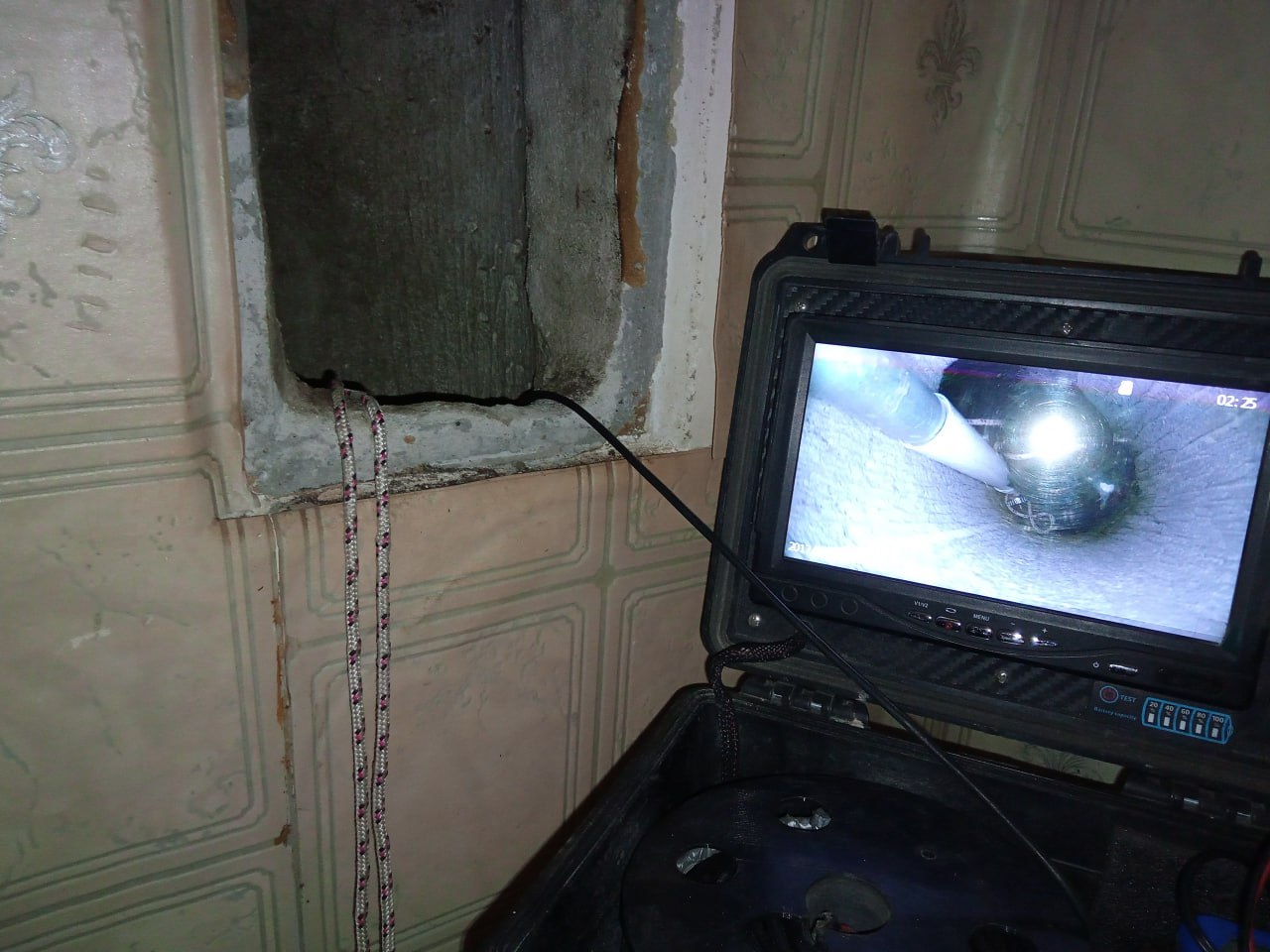 Голубя из вентиляции многоэтажки достали зооспасатели Екатеринбурга