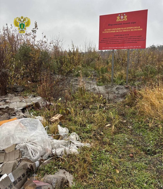 Суд заставил чиновников убрать свалку у Шарташского лесопарка