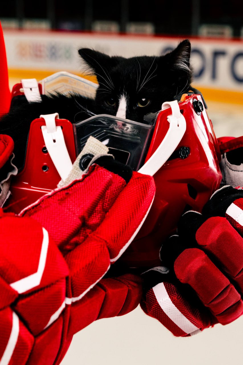 ХК «Автомобилист» проведет «Пушистый матч»