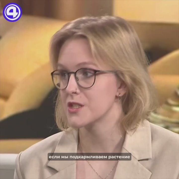 Растения тоже скучают зимой, напомнили фитодизайнеры