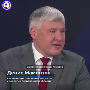 Штрафы за лесные пожары не покрывают затраты на тушение, их нужно увеличить